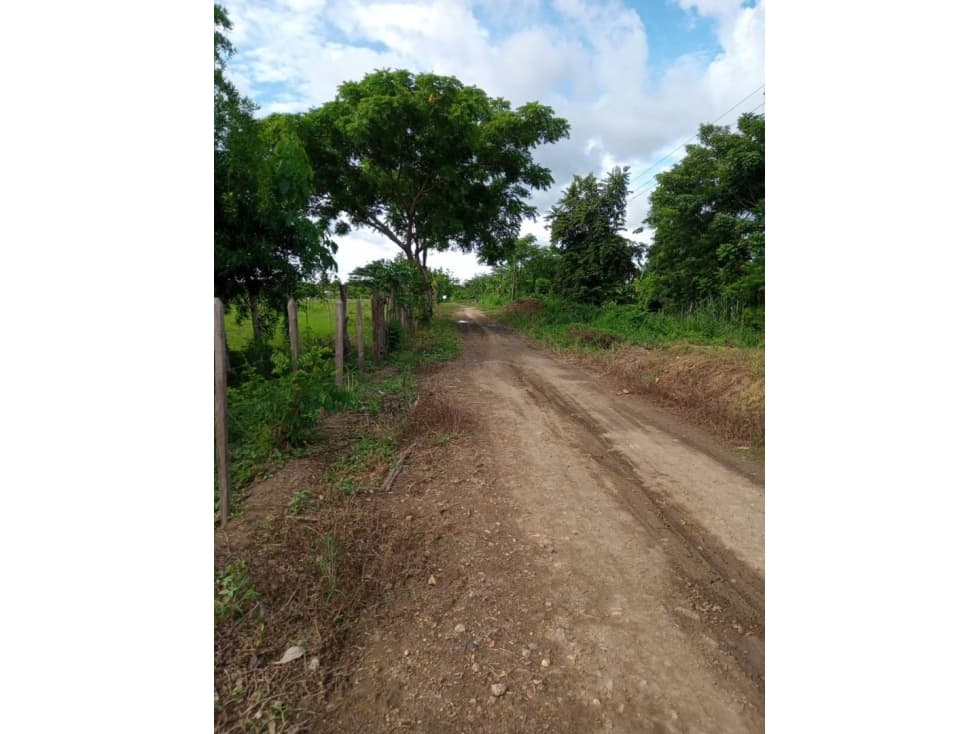 LOTE EN VENTA SECTOR EL FARO 4 MONTERIA — foto 5