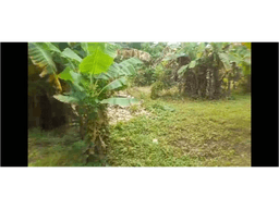 VENDO LOTE VIA AL SABANAL MONTERIA CORDOBA