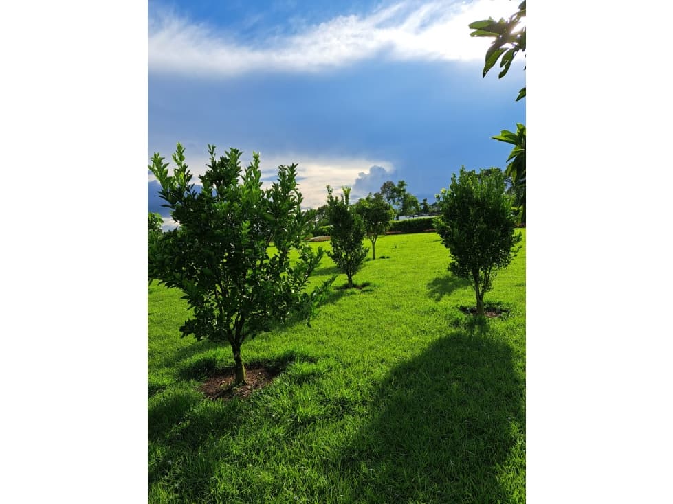 Venta de Lote en Pueblo Tapado Quindio — foto 6
