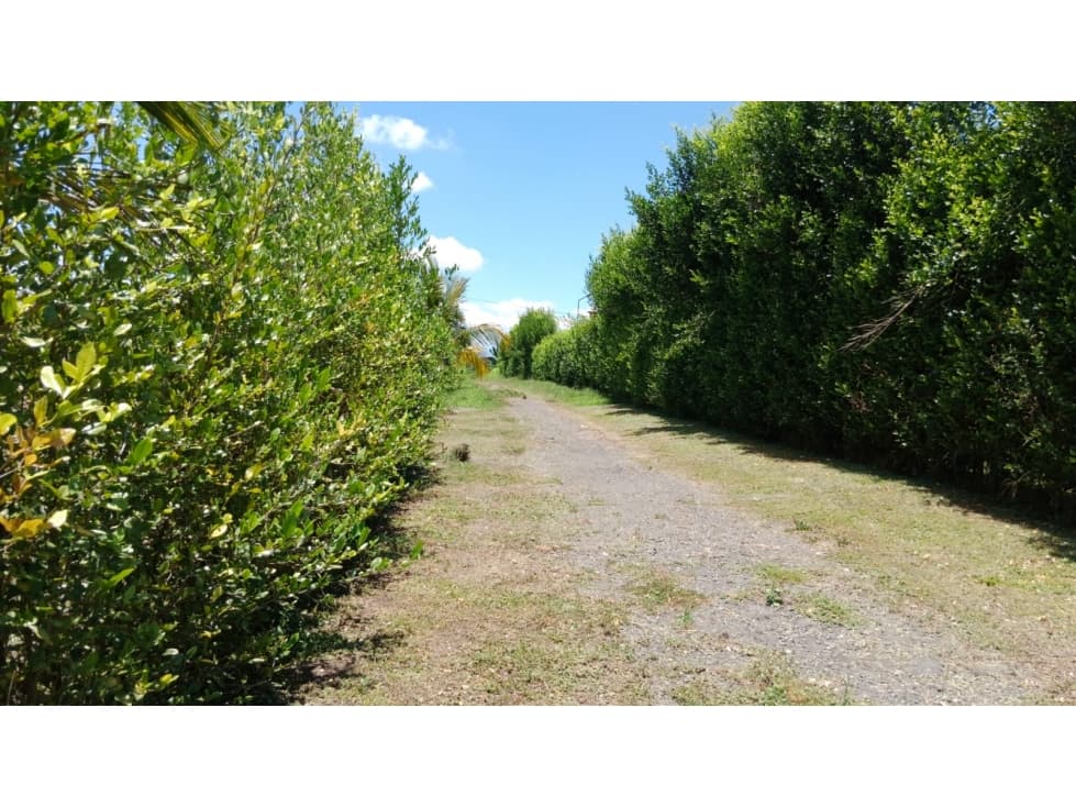 Venta de Lote en Pueblo Tapado Quindio — foto 4