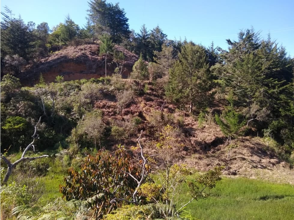 VENTA EXCELENTE LOTE, RIONEGRO — foto 5