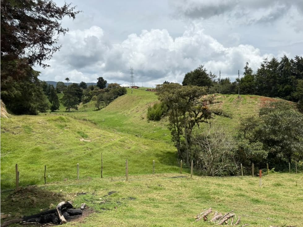 VENTA FINCA - SAN FELIX. — foto 5