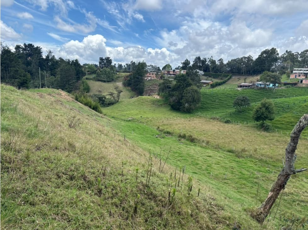 VENTA FINCA - SAN FELIX. — foto 6