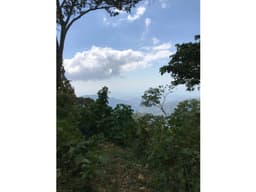 VENTA LOTE TERRENO CAMPESTRE MINCA - CAMPANO - LA TAGUA