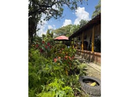 VENTA FINCA 6.600M2 EXCELENTE UBICACIÓN RIONEGRO ANT