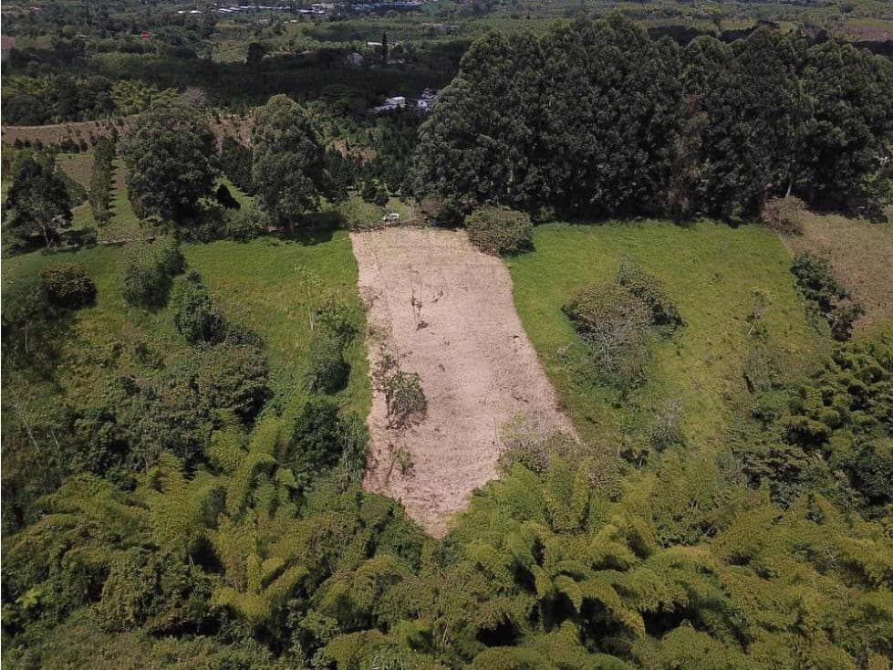 Lote en venta sector Circasia Vereda Hojas Anchas — foto 4