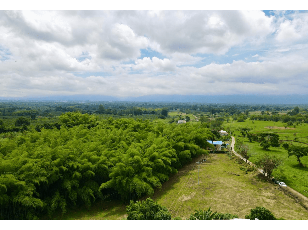 Lote en venta vía Tebaida vereda Murillo — foto 1