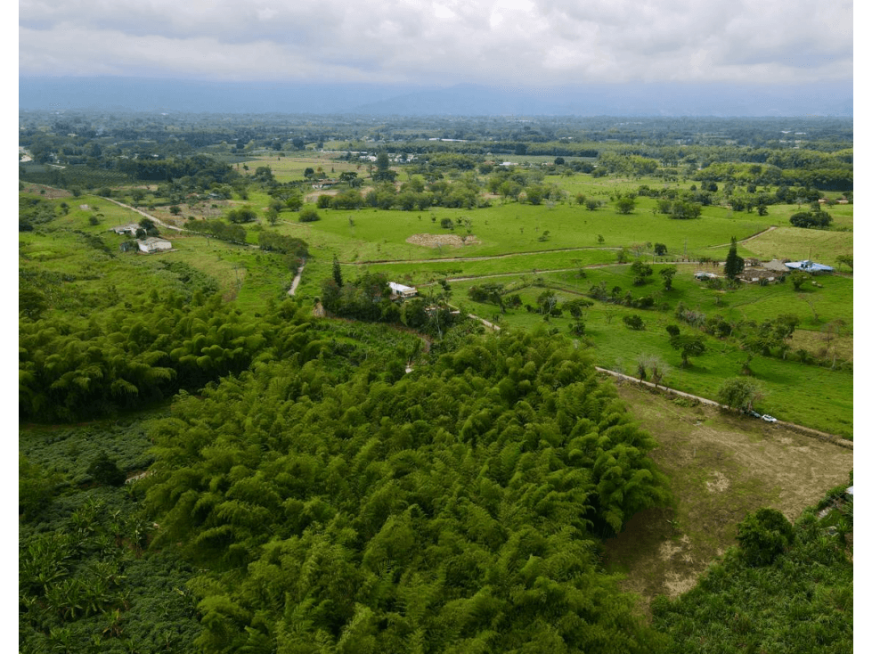 Lote en venta vía Tebaida vereda Murillo — foto 2