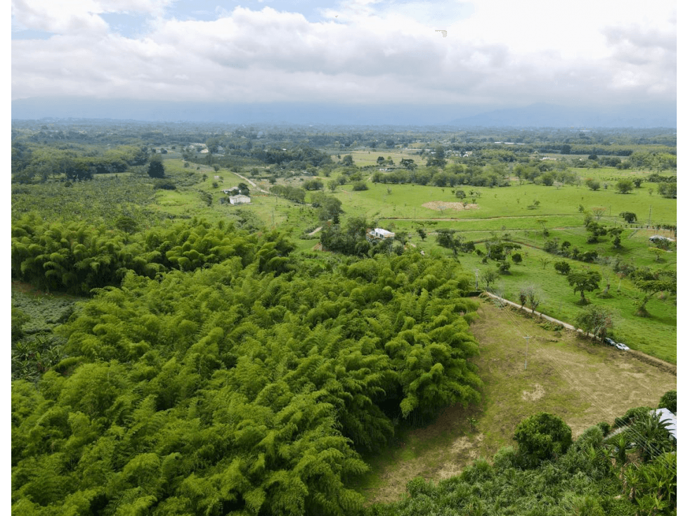 Lote en venta vía Tebaida vereda Murillo — foto 3