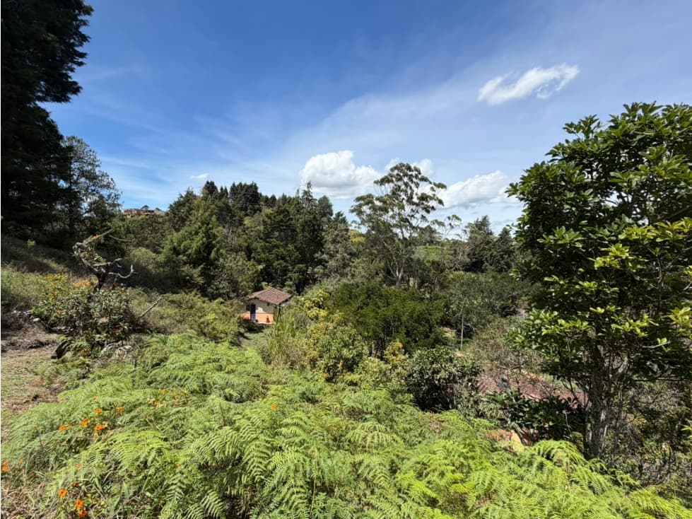 FINCA EN VENTA VEREDA LA CLARITA, GUARNE — foto 6