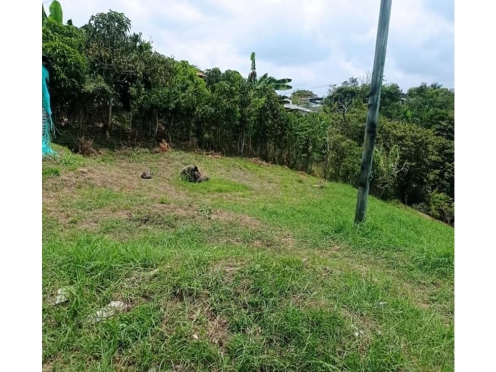 Se vende Lote en el sector de Arabia — foto 1