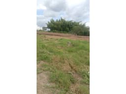 SE VENDE O PERMUTA LOTE AREA 3000 M2 POR CONDINA CERCA A VALLARTA