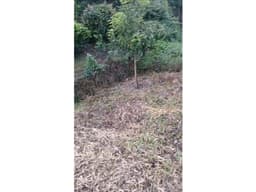 Se vende lote listo para construir en Morelia 250 m²