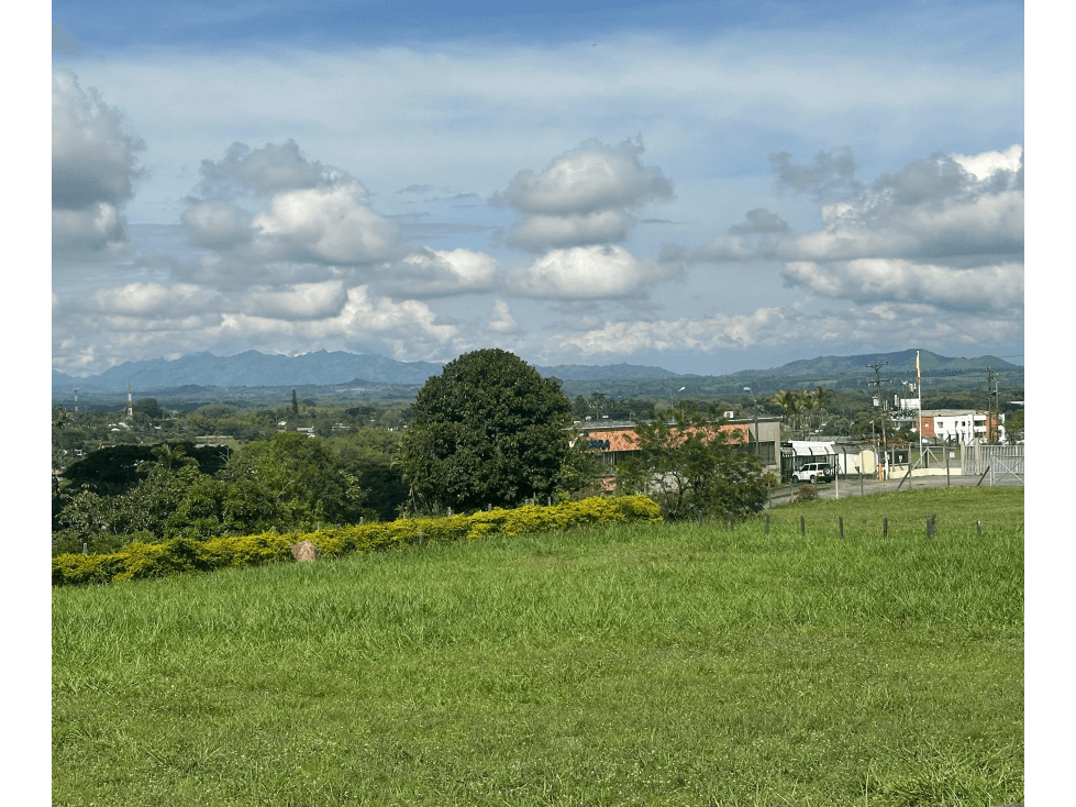 SE VENDE LOTE DE USO COMERCIAL AREA 10.000 M2 — foto 1