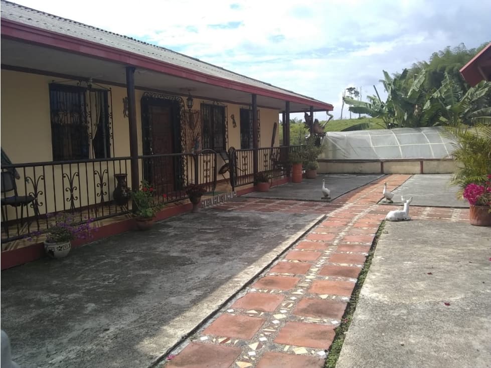 Finca en alcala , vereda floresta — foto 1