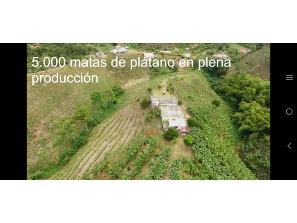 SE VENDE FINCA EN ALTAGRACIA — foto 6