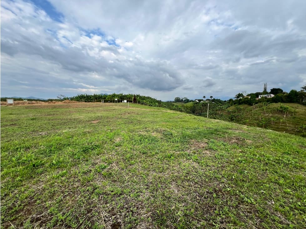 ¡SE VENDE ESPECTACULAR LOTE VIA ALCALA! — foto 5
