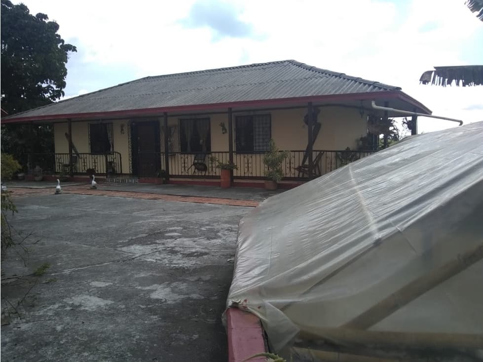 Finca en alcala , vereda floresta — foto 3