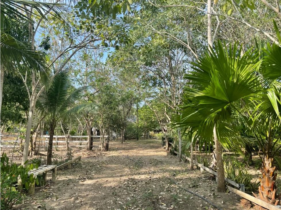 Lote en Barú, Cartagena — foto 2