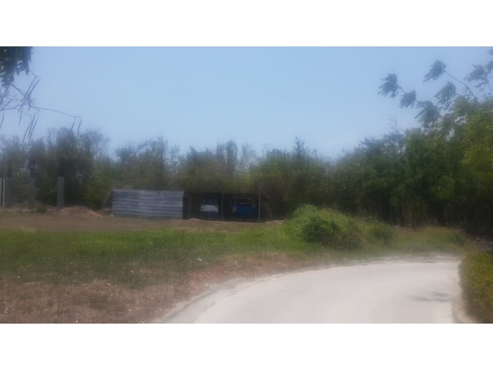 Lote en Terranova de Indias — foto 2