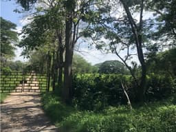 Venta de Lote sobre la Cordialidad, en Cartagena