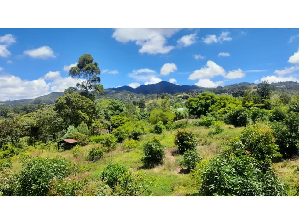 Lote en venta en El Tablazo, Rionegro — foto 1