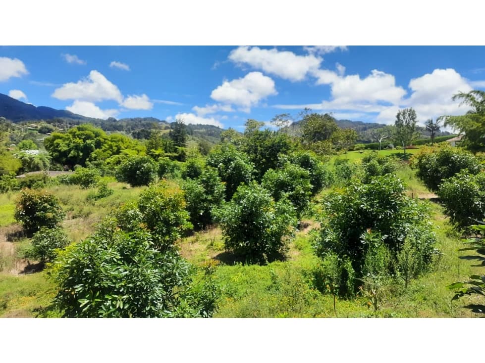 Lote en venta en El Tablazo, Rionegro — foto 3