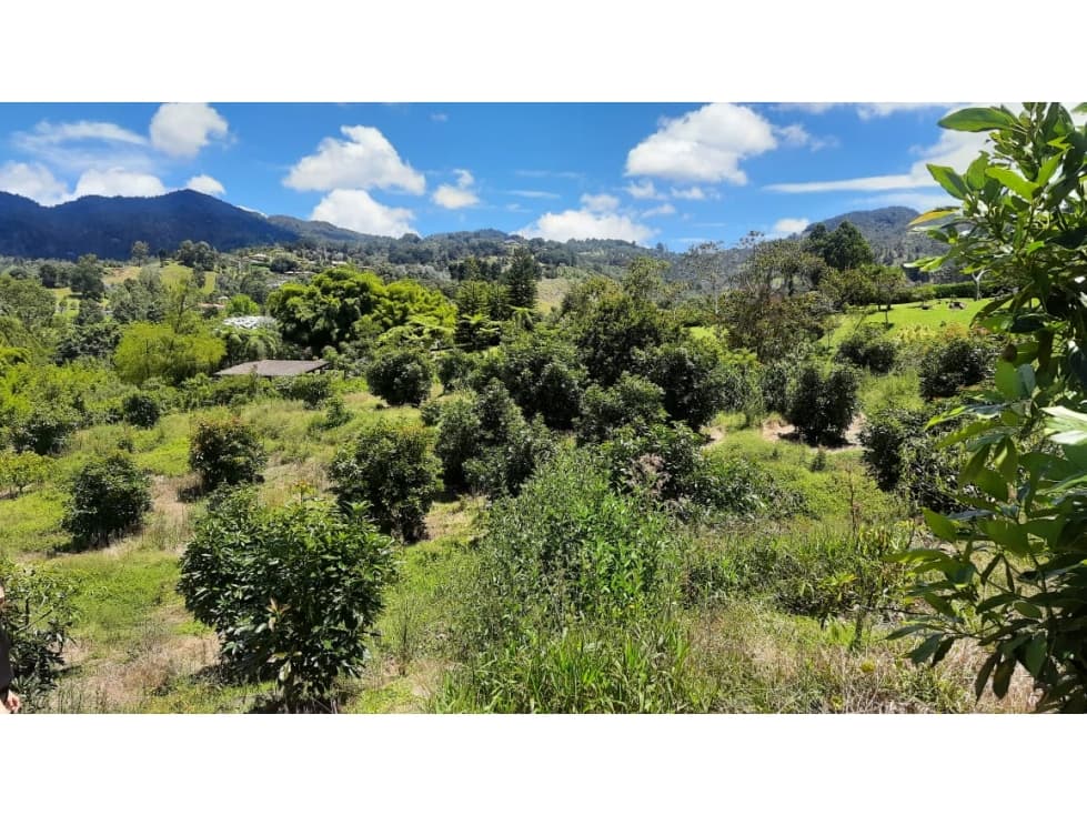 Lote en venta en El Tablazo, Rionegro — foto 4