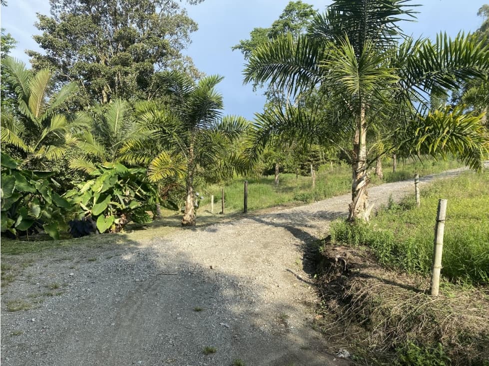 VENTA LOTE SECTOR ARENILLO — foto 2