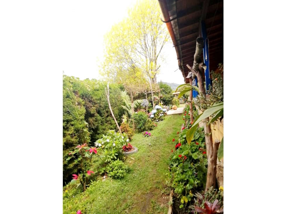 Venta de finca en Guarne, Antioquia — foto 2