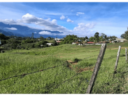 Se vende lote en Circasia sector Entremaderos