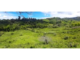Se Vende Finca Ganadera Entre Barragan - Río Verde.