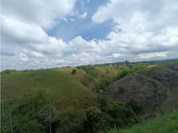 Se Vende Lote En Hojas Anchas - Armenia - Quindío