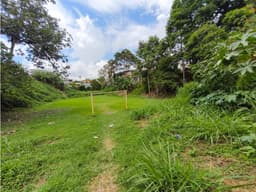 Se Vende lote urbano en el S. Barrio La Isabela Armenia - Quindío.