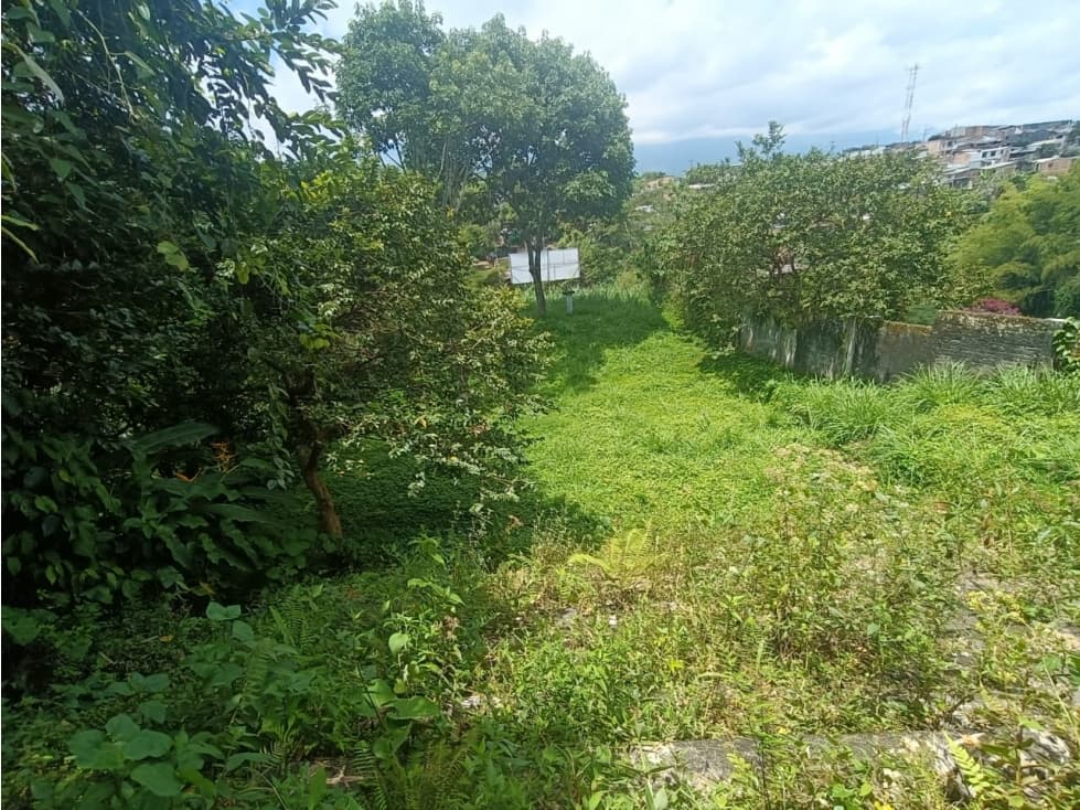 Se Vende Lote S. Centro - Norte De Armenia — foto 1