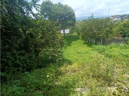 Se Vende Lote S. Centro - Norte De Armenia