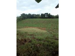 Se Vende Lote Armenia Vía Pueblo Tapao