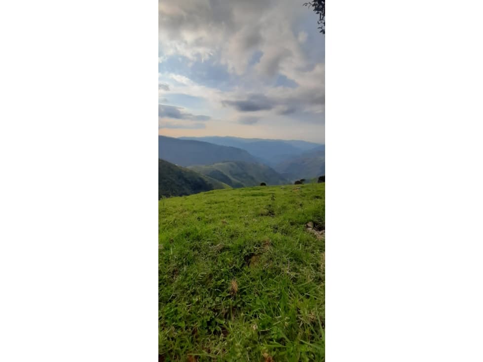 Se vende Finca Génova Quindío — foto 2