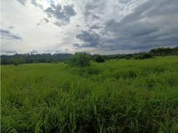 Se Vende Finca En Puerto Espejo - Armenia - Quindío.