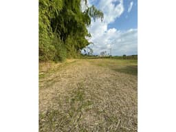 Se vende Lote Vda Hojas anchas Armenia - Circasia Quindío