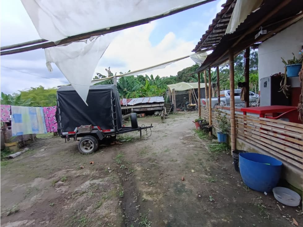 Se Vende Finca Vía La Tebaida — foto 5