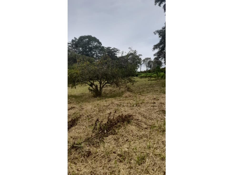 Se Vende Lote S. Caimo - Quindío — foto 3