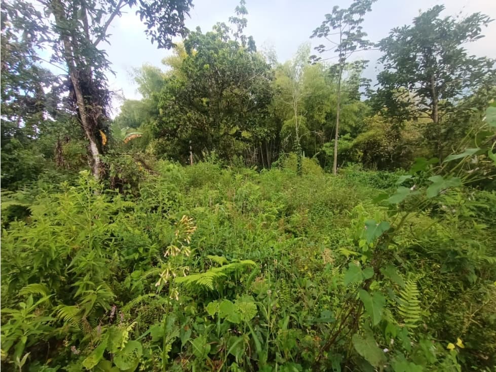 Se Vende Lote En Salento Quindío — foto 3