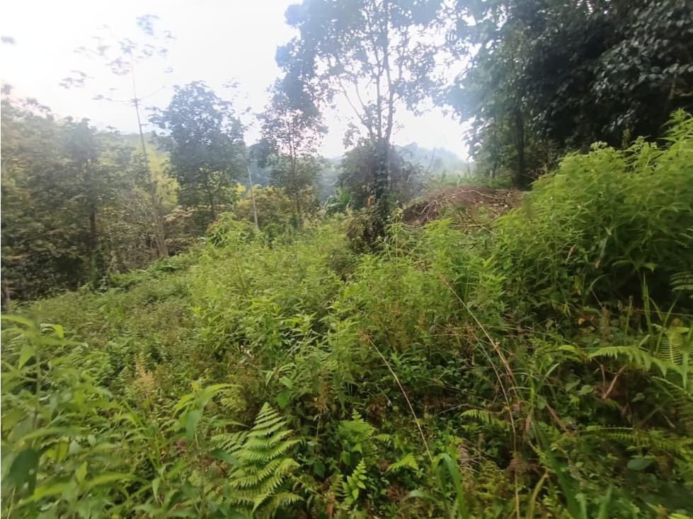 Se Vende Lote En Salento Quindío — foto 1