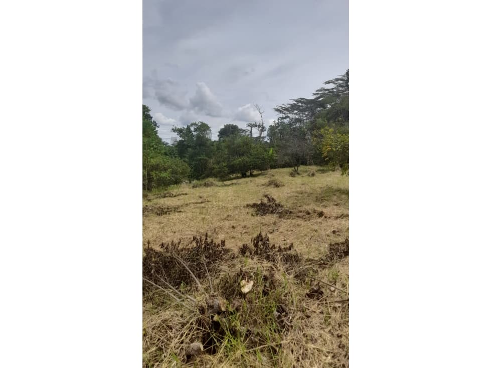 Se Vende Lote S. Caimo - Quindío — foto 5