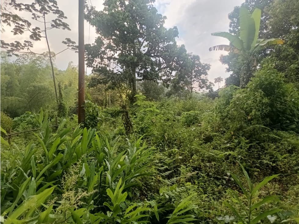Se Vende Lote En Salento Quindío — foto 5