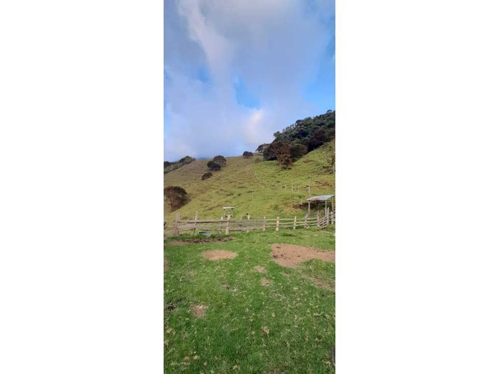 Se vende Finca Génova Quindío — foto 5
