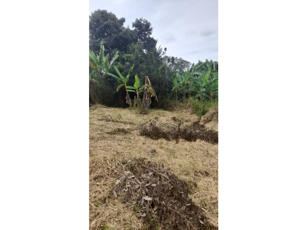 Se Vende Lote S. Caimo - Quindío — foto 6