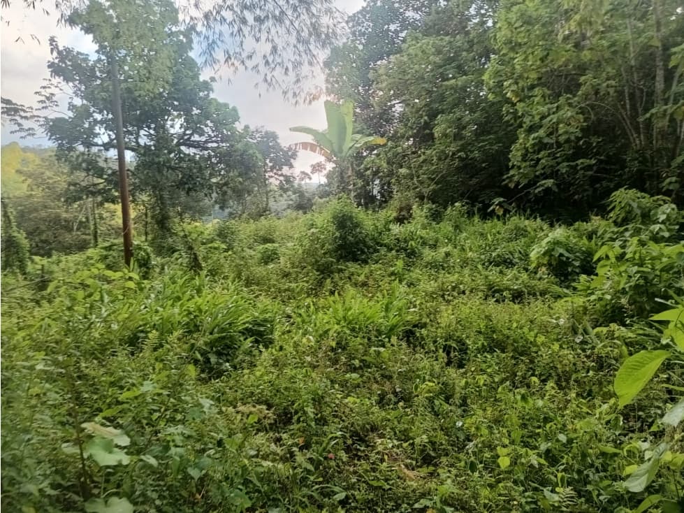 Se Vende Lote En Salento Quindío — foto 6