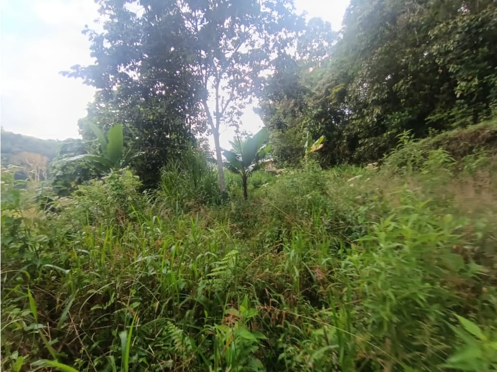 Se Vende Lote En Salento Quindío — foto 3
